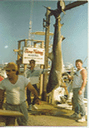 shark fishing extended day - Montauk,NY